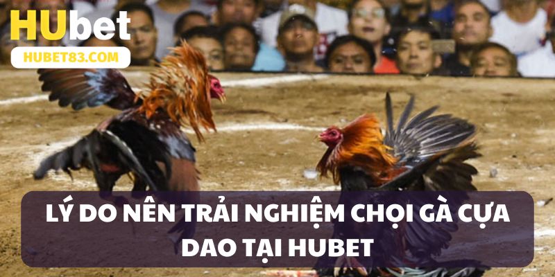 Điểm thú vị của sảnh nhà cái Hubet